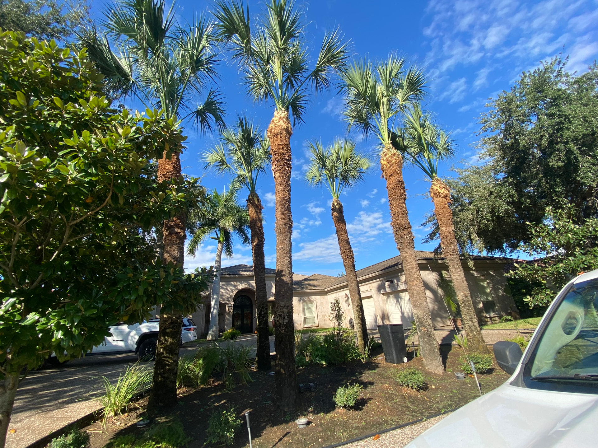 Landscaping and Lawn Care